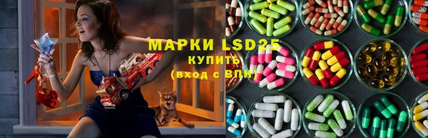 спайс Арсеньев