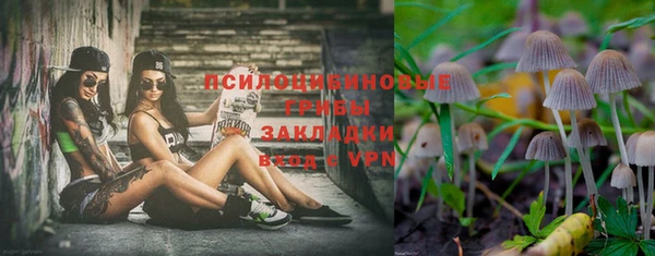 каннабис Аркадак