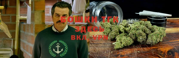 ПСИЛОЦИБИНОВЫЕ ГРИБЫ Армянск