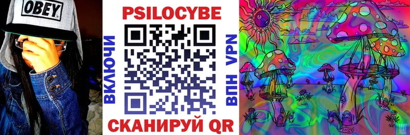 Псилоцибиновые грибы мицелий  Малоярославец 